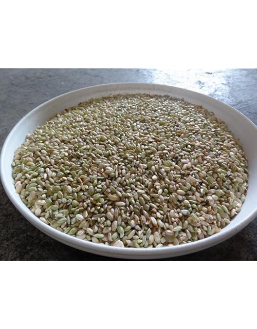 Amazon.co.jp: くず米（網目1.75～1.8下） 内容量20kg : 食品